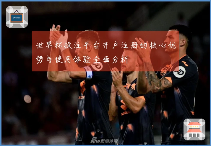 世界杯投注平台开户注册的核心优势与使用体验全面分析