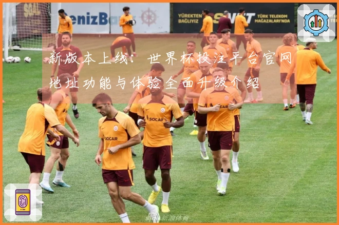 新版本上线：世界杯投注平台官网地址功能与体验全面升级介绍