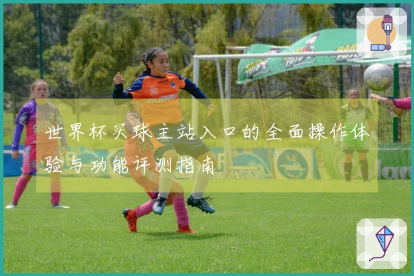 世界杯买球主站入口的全面操作体验与功能评测指南