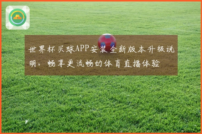 世界杯买球APP安装全新版本升级说明，畅享更流畅的体育直播体验
