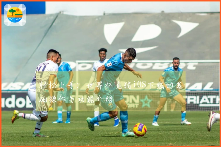 轻松上手：世界杯竞猜iOS下载的基础操作与功能介绍