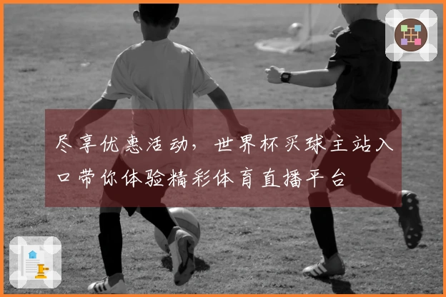 尽享优惠活动，世界杯买球主站入口带你体验精彩体育直播平台