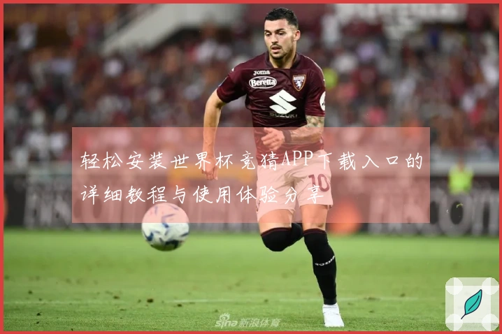 轻松安装世界杯竞猜APP下载入口的详细教程与使用体验分享