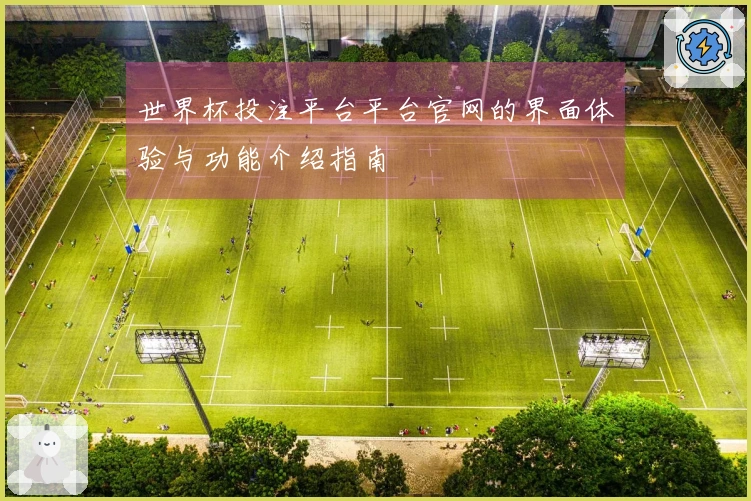 世界杯投注平台平台官网的界面体验与功能介绍指南