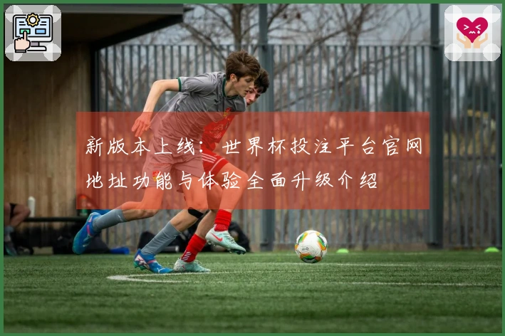 新版本上线：世界杯投注平台官网地址功能与体验全面升级介绍