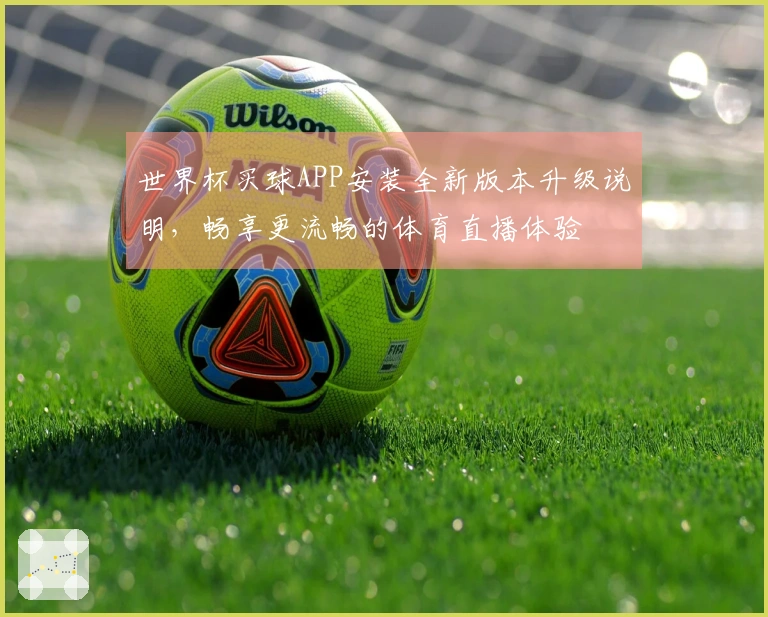 世界杯买球APP安装全新版本升级说明，畅享更流畅的体育直播体验